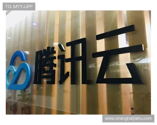 开云官方网站入口问题解决方案详解帮助玩家顺利登录游戏体验