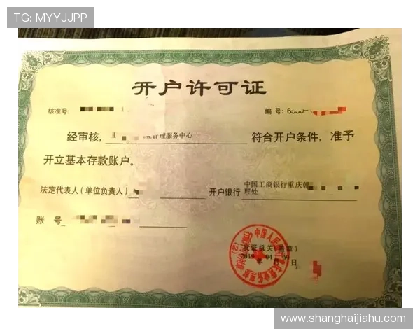 掌握开云现金开户技巧，实现资金安全高效入账